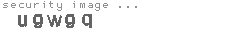 security image