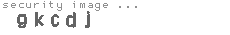 security image