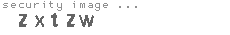 security image