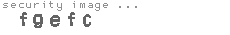 security image