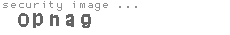 security image