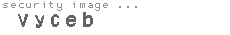 security image