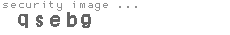 security image