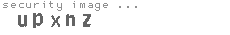 security image