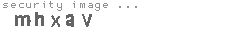 security image