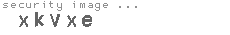 security image