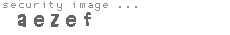 security image