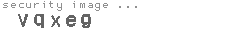 security image