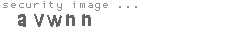 security image