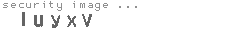 security image