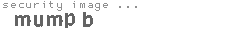 security image