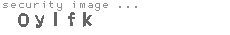 security image