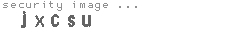 security image